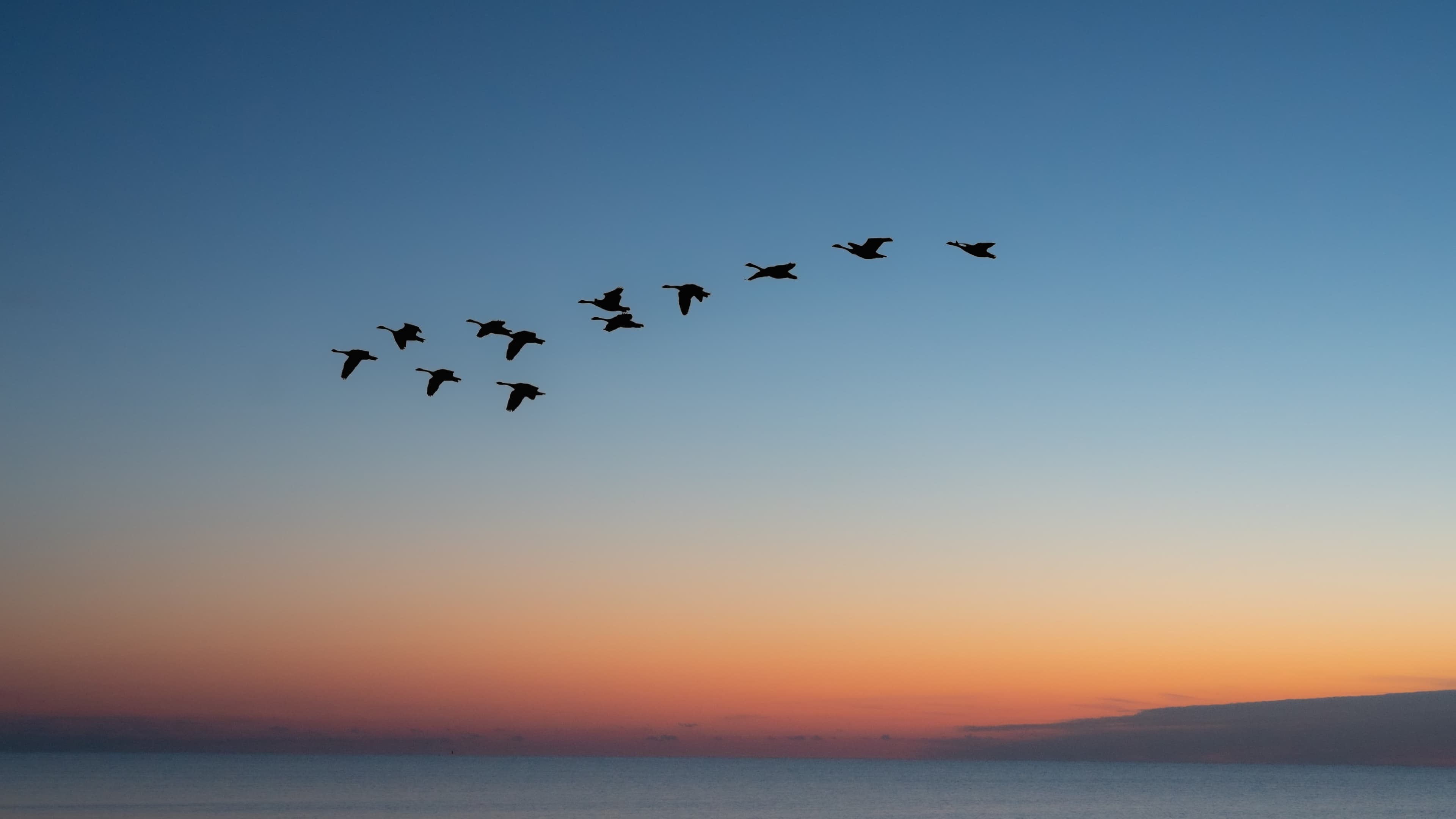 Migrating to hashnode